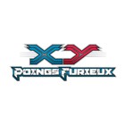 XY - Poings Furieux / 2014