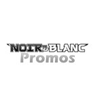 Noir & Blanc - Promo / 2011