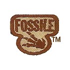 Fossile / 2000